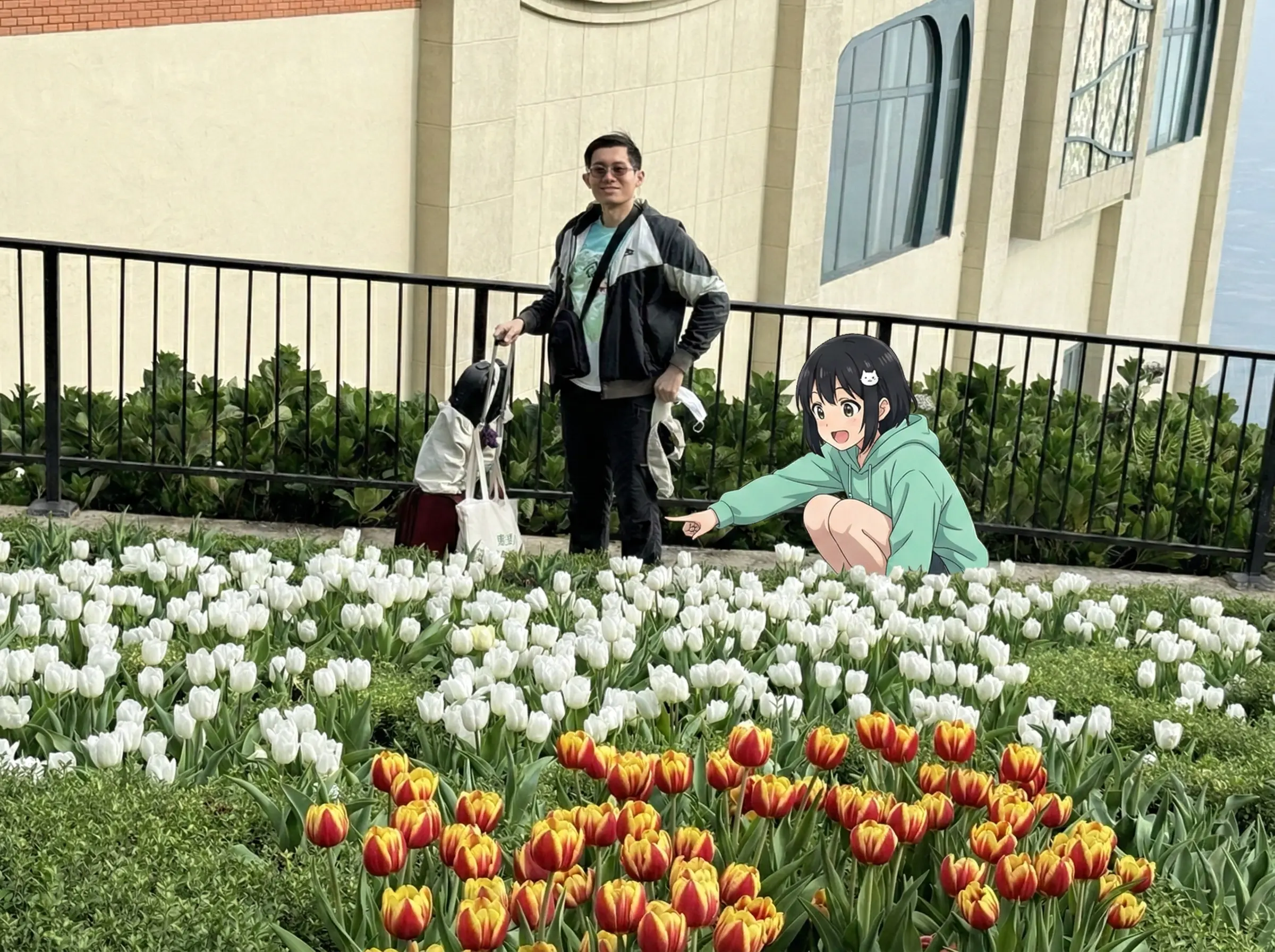 Bé Mi và Ba bên vườn tulip