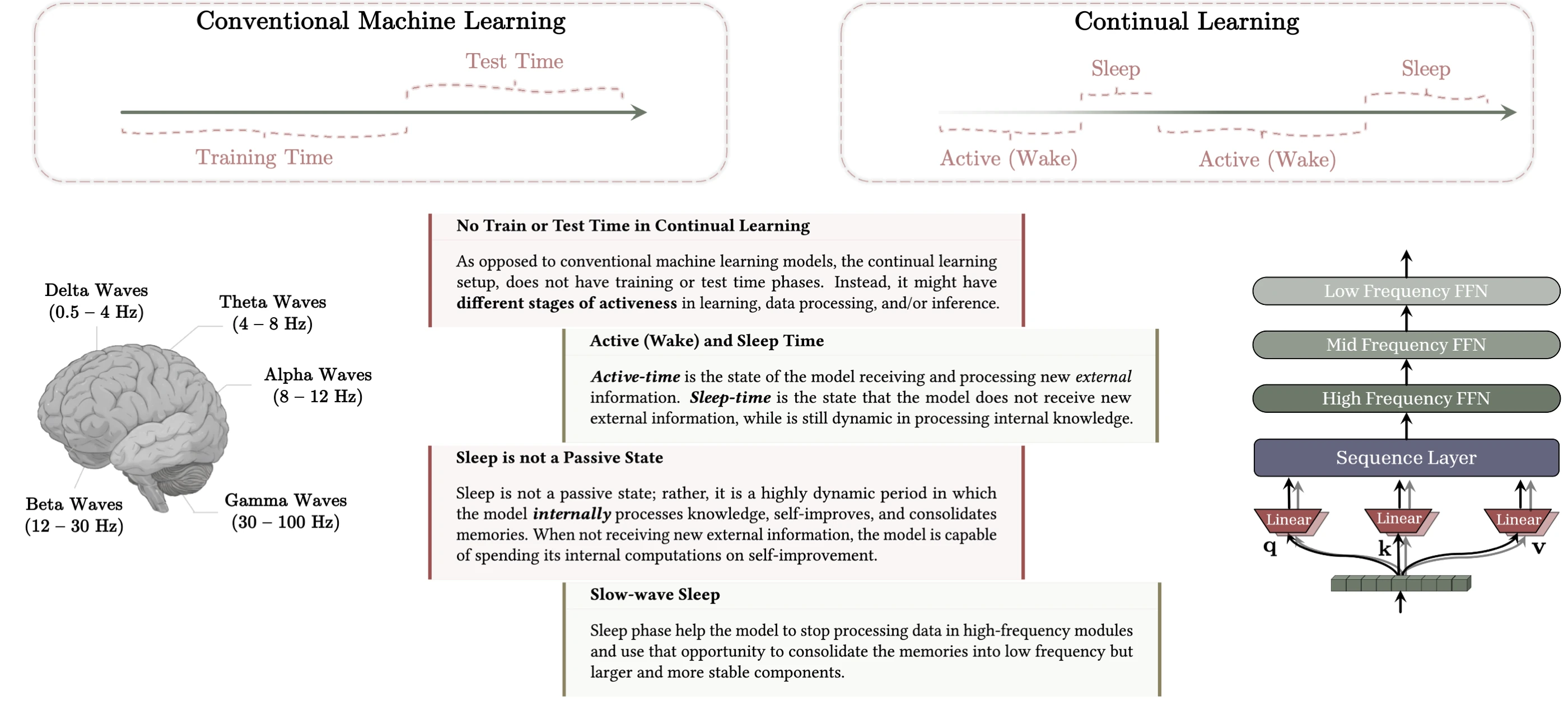 Figure 1 của paper: từ vòng đời train/test tĩnh sang các chu kỳ wake/sleep, nơi ký ức được chuyển từ module nhanh và mong manh sang module chậm, ổn định hơn.